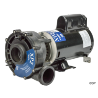 Dimension One Spa Aquaflo XP2 2hp, 2spd pump