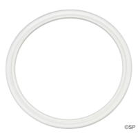 LA Spas Aqua Klean filter bag O-Ring