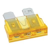 LX Spa Blower Fuse 5A