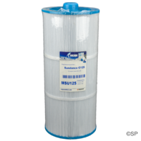 Sundance spas 125 Double Ended Filter