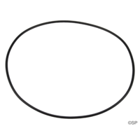 Filtermaster Pump Body O-Ring