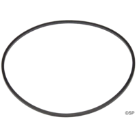 Sundance Spas TheraMax Pump Body O-Ring