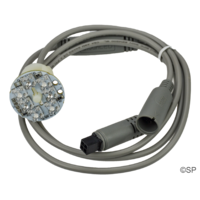Sloan LiquaLED 7 LED Cluster Lamp