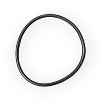 Waterco Digiheat heater element O-ring - Mk1