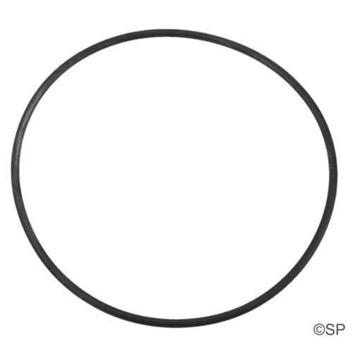 Aquaflo FM XP2 / XP2E Pump Body O-Ring