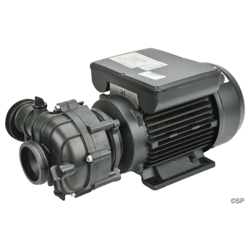 Dimension One Spas Sta-rite Durajet 2hp, 2spd pump