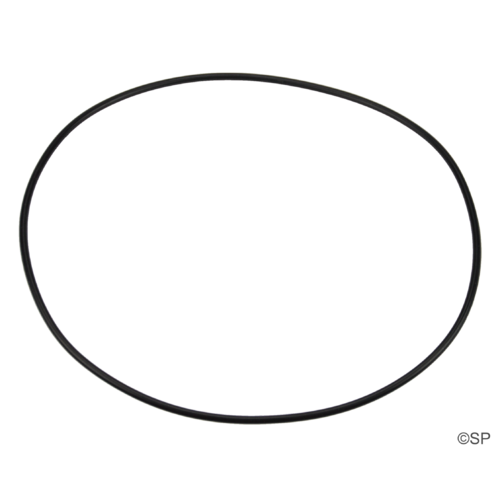 Filtermaster Pump Body O-Ring
