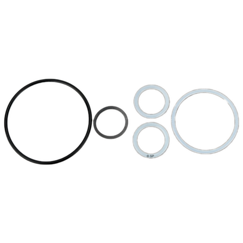Rising Dragon 2" Diverter Valve O-Ring Seal Kit