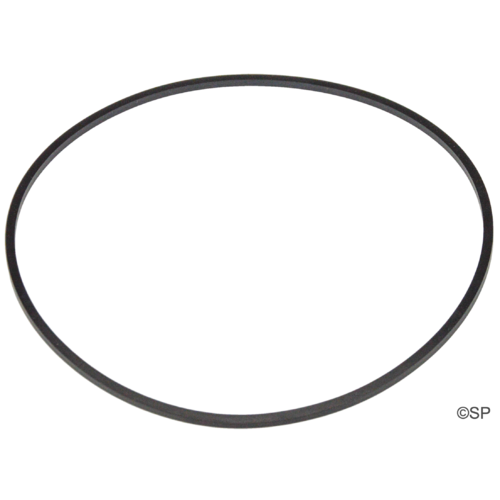 Sundance Spas TheraMax Pump Body O-Ring