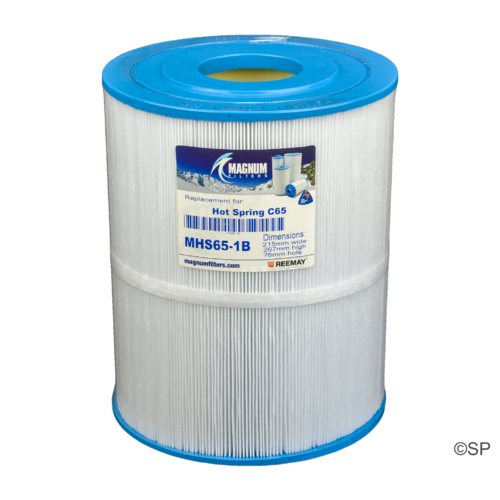 270mm L x 215mm D Hot Spring Spas 65 sqft filter cartridge