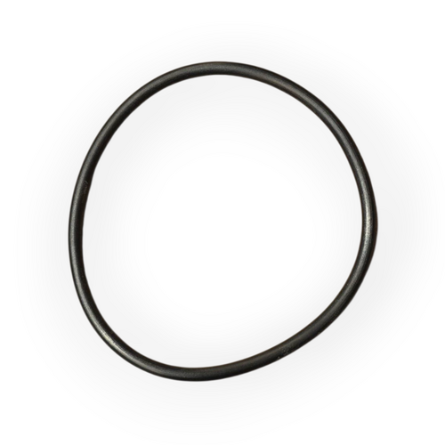 Waterco Digiheat heater element O-ring - Mk1