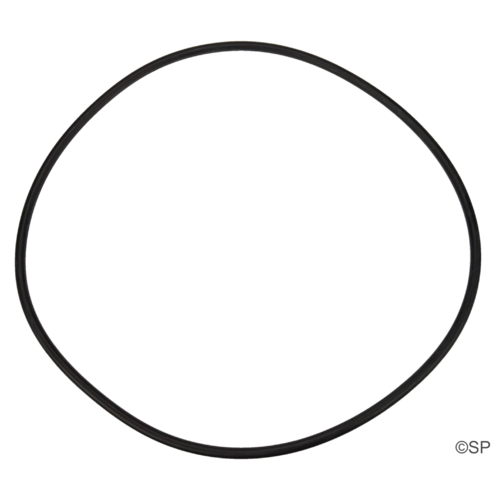 Waterco Opal Filter Lid O-Ring