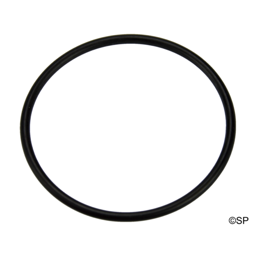 Waterway 2" union O-Ring