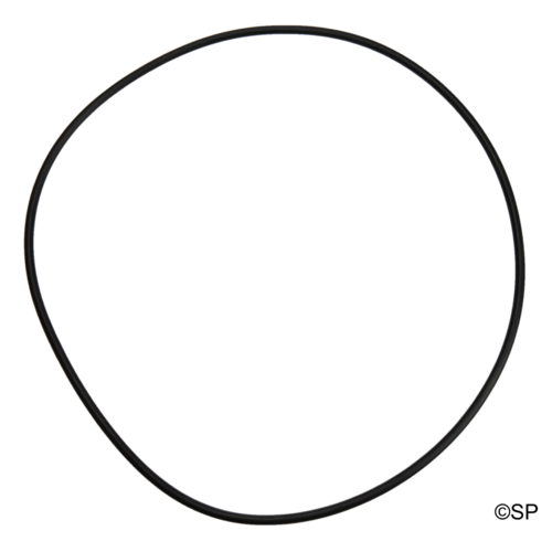 Waterway Executive Pump Body O-ring