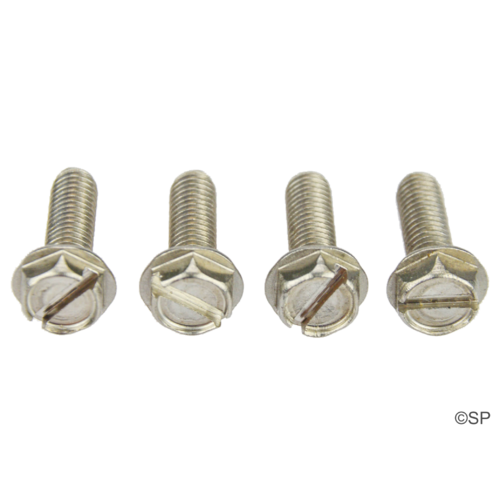 Waterway & Aquaflo 56 Frame Pump Motor Mount Screw -  #10-32 UNF x 5/8" - 4 Pack